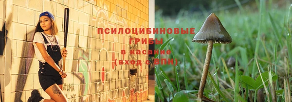 дмт Покров